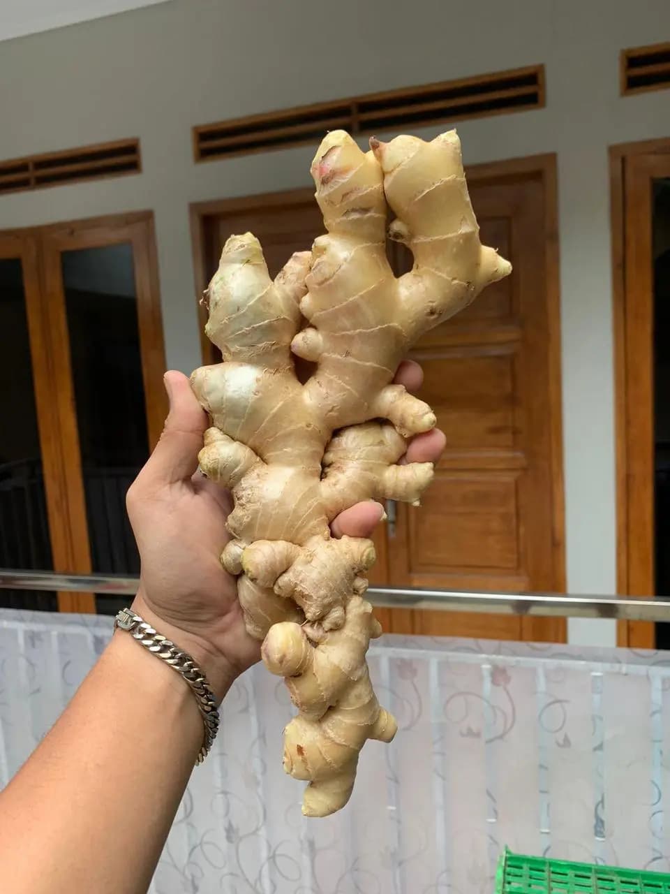 premium ginger